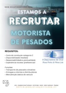 Motorista de Pesados