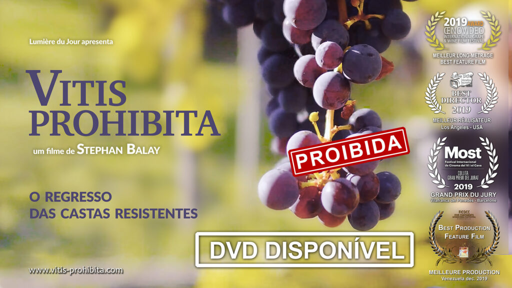 Vitis Prohitita: O regresso das castas resitentes